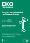 ekopoukładani pion