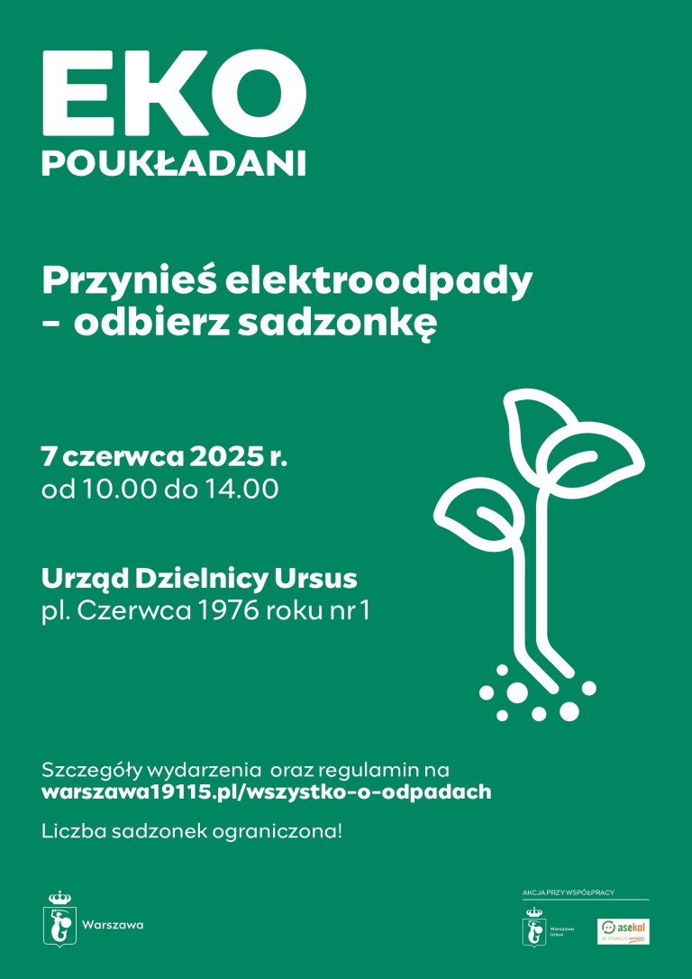 ekopoukładani pion